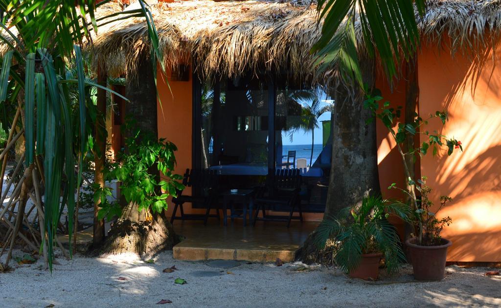La Palapa Guest House Tamarindo Bilik gambar