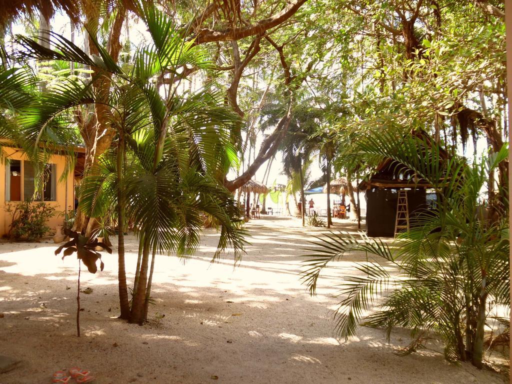 La Palapa Guest House Tamarindo Bilik gambar